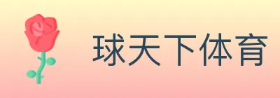 球天下体育 logo